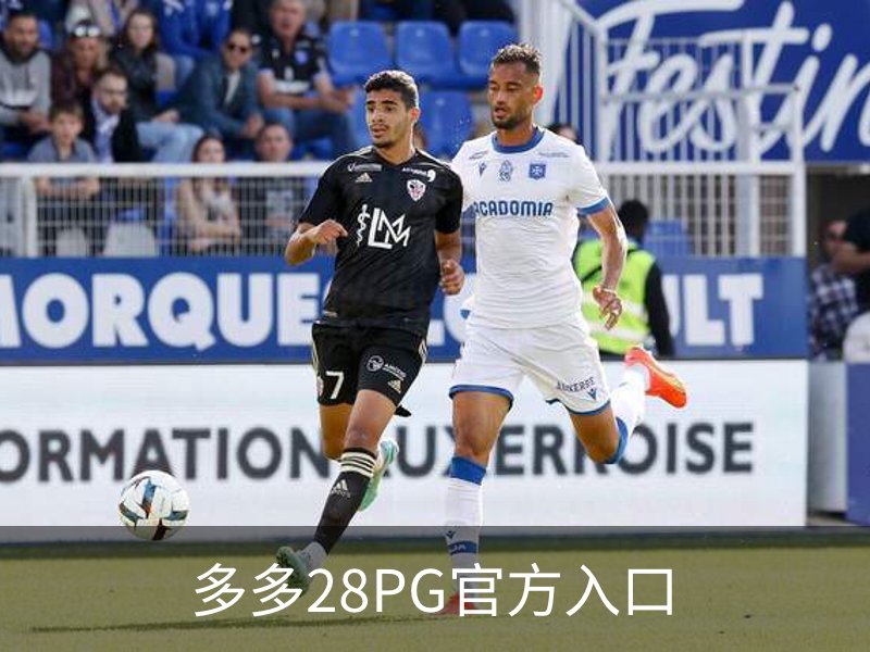 多多28PG官方入口介绍